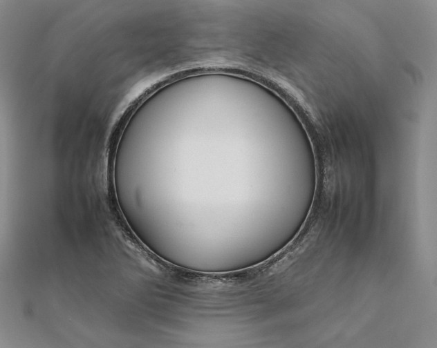 X0000111681270200908071417