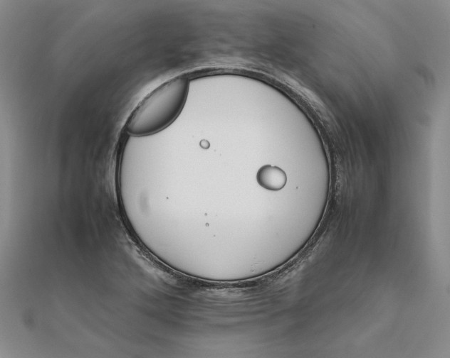 X0000111681272200908071417