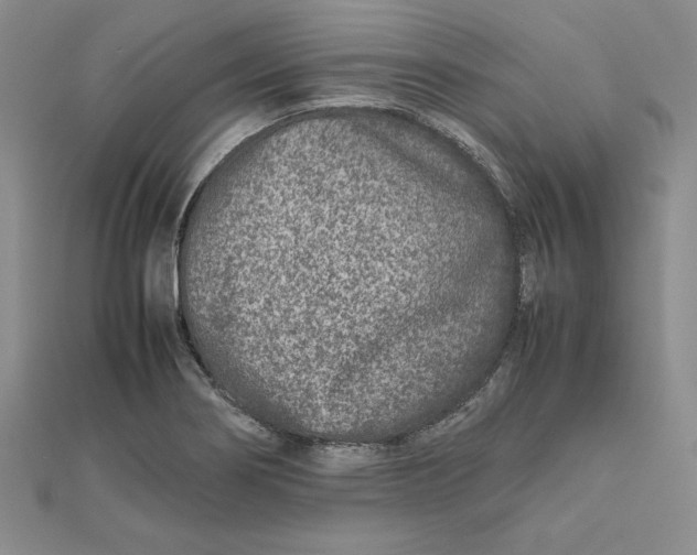 X0000111681274200908071417