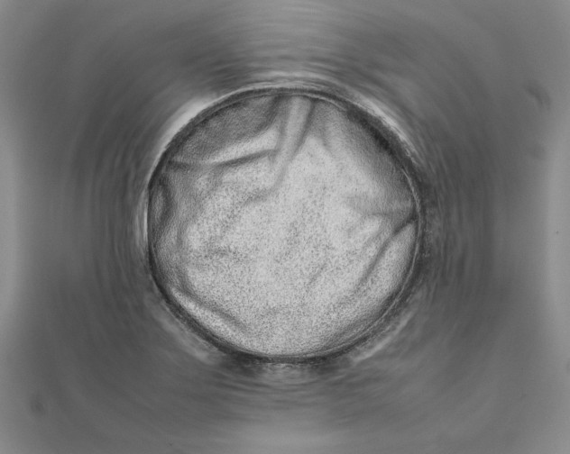 X0000111681275200908071417