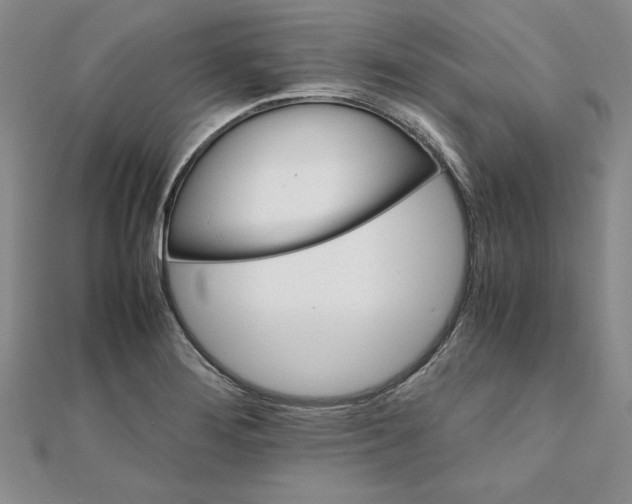 X0000111681276200908071417