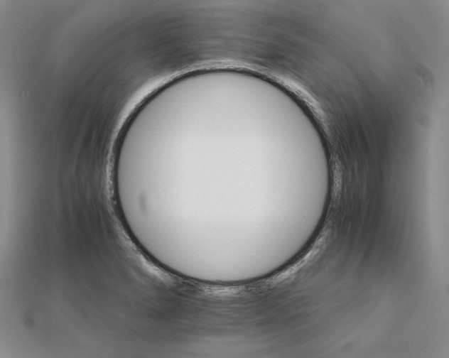 X0000111681278200908071417