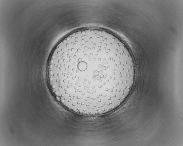 X0000111681279200908071417