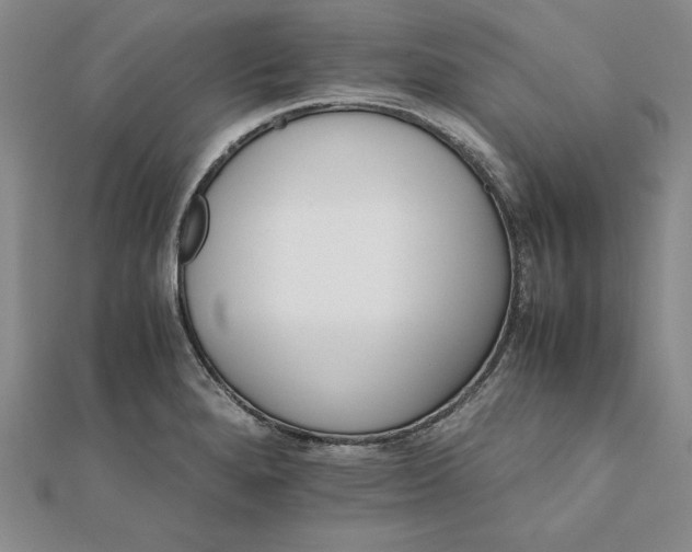 X0000111681280200908071417