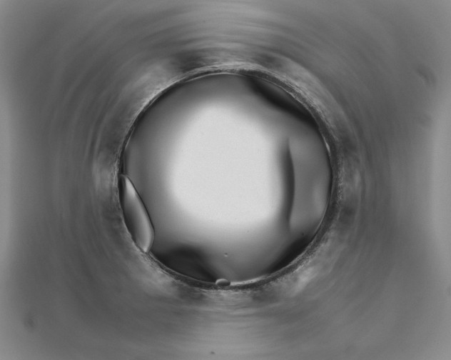 X0000111681281200908071417