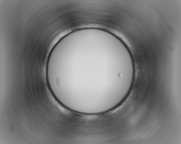 X0000111681282200908071417