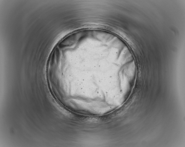 X0000111681283200908071417