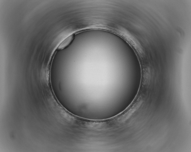 X0000111681284200908071417