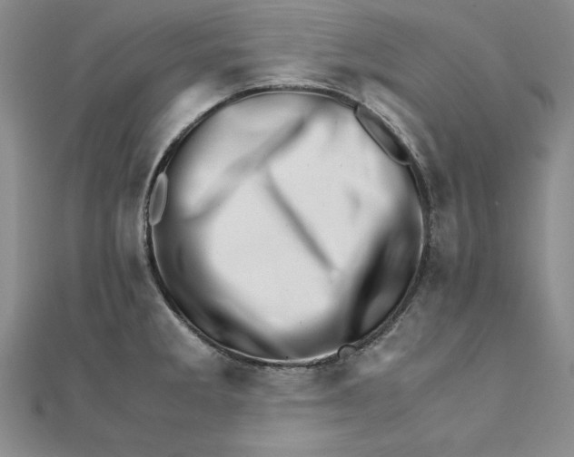 X0000111681285200908071417