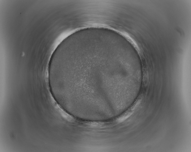 X0000111681287200908071417