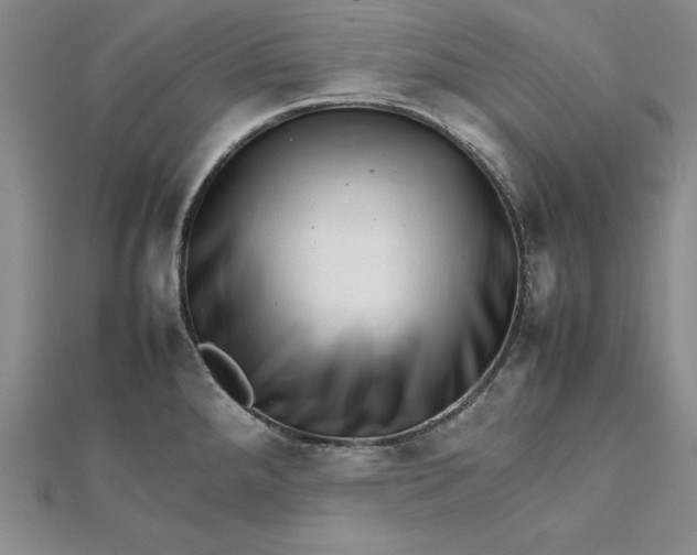 X0000111681288200908071417