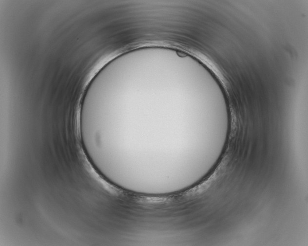 X0000111681290200908071417