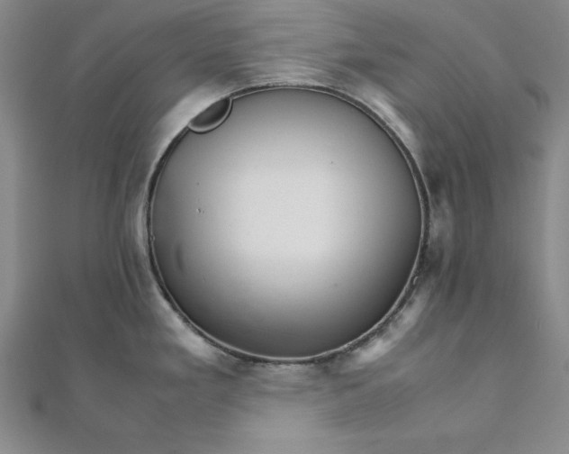 X0000111681293200908071417