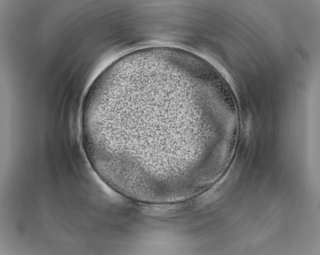 X0000111681294200908071417