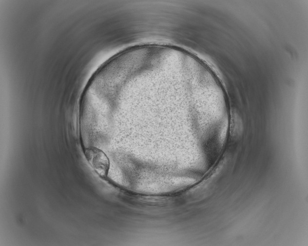 X0000111681295200908071417