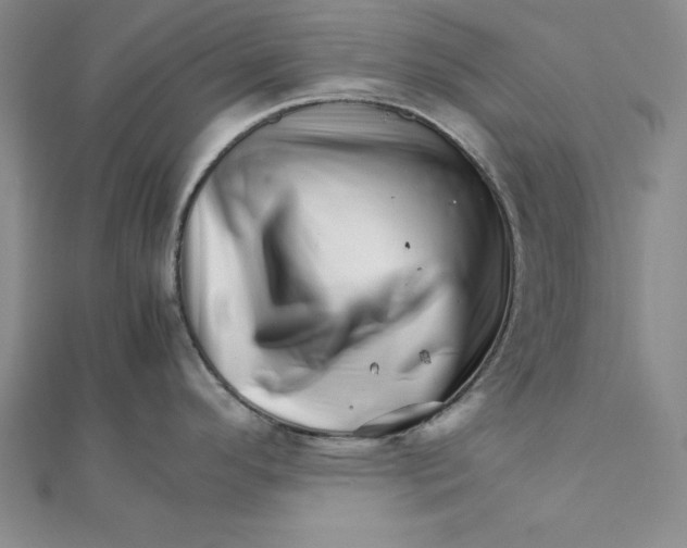 X0000111681296200908071417