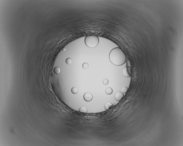 X0000111681297200908071416