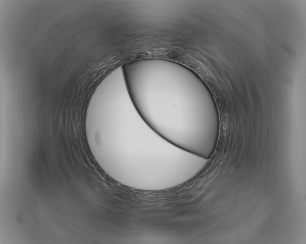 X0000111681298200908071417