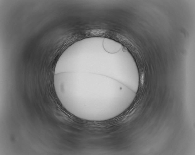 X0000111681299200908071417