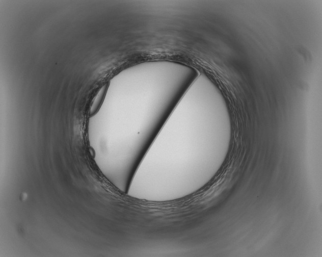 X0000111681300200908071417