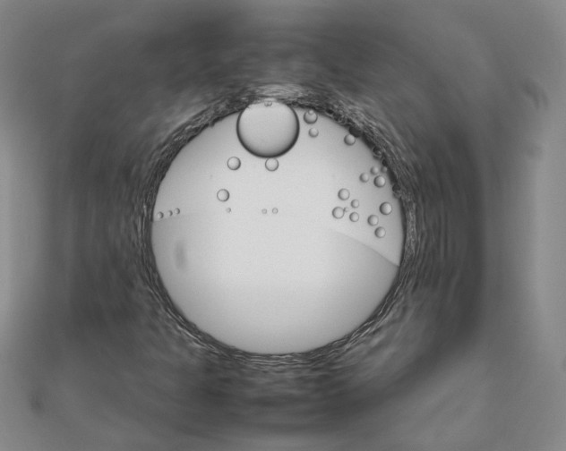 X0000111681301200908071417