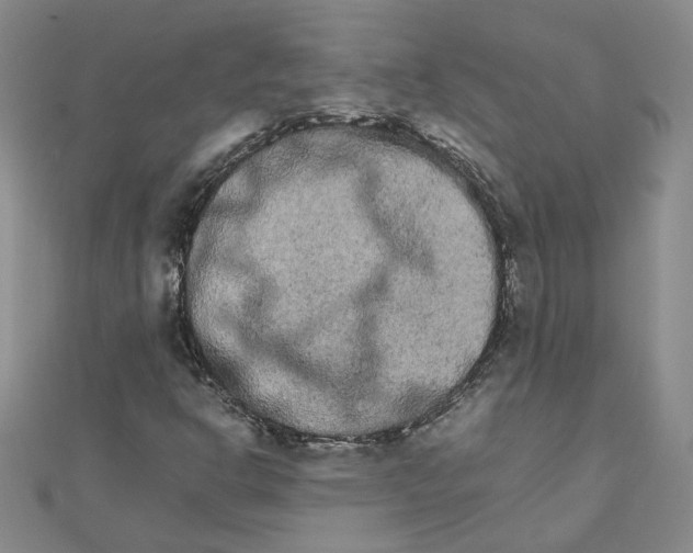 X0000111681302200908071417