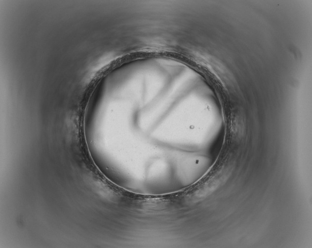 X0000111681304200908071417