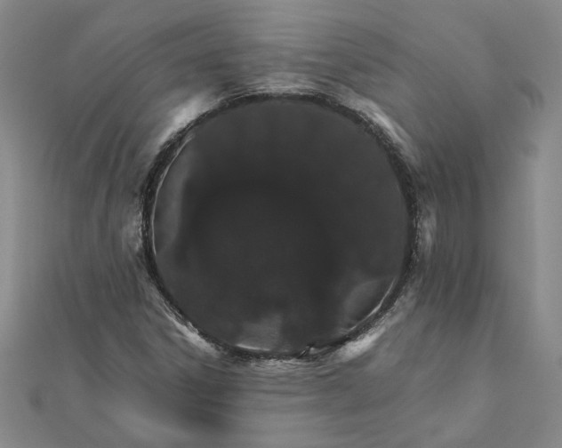 X0000111681306200908071417