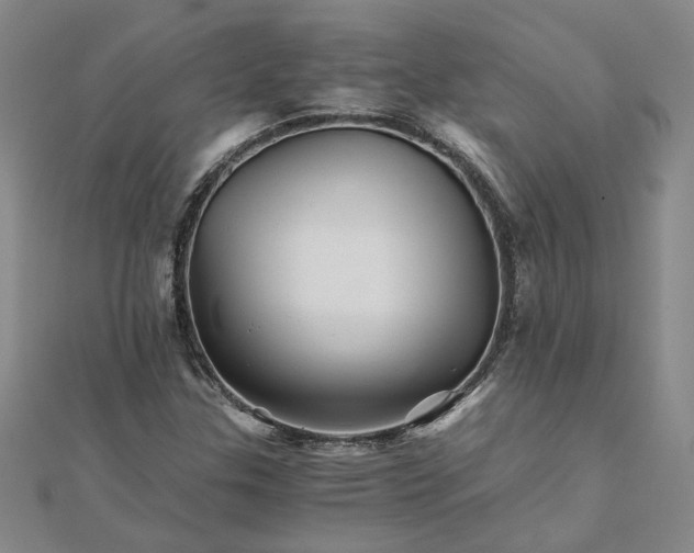 X0000111681307200908071417