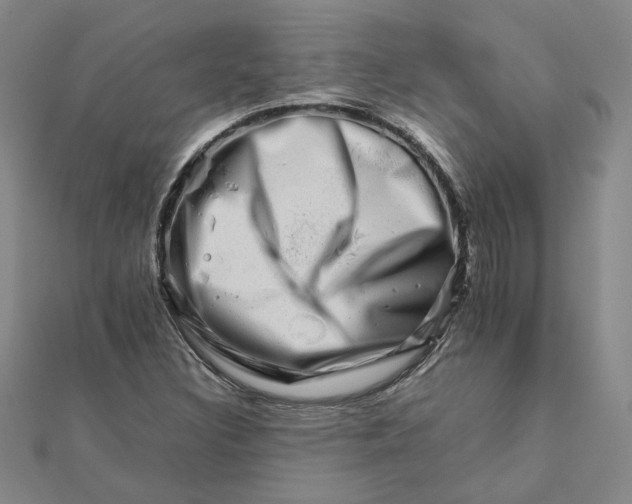 X0000111681308200908071417