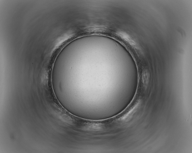 X0000111681309200908071417