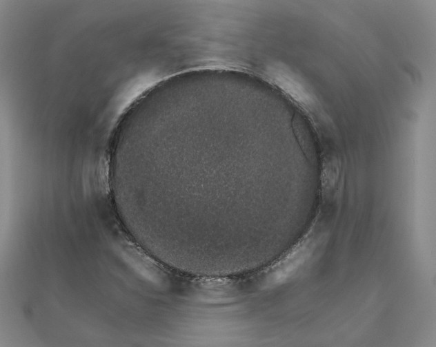 X0000111681310200908071417