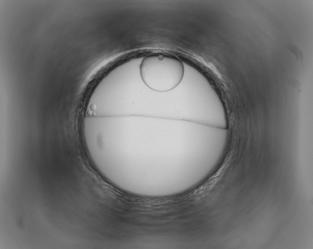 X0000111681311200908071417