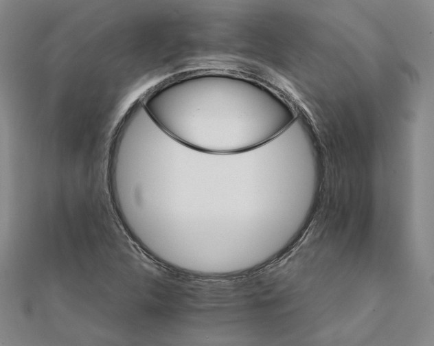 X0000111681312200908071417