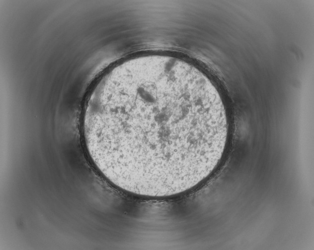 X0000111681314200908071417