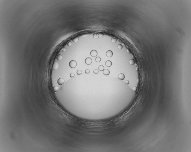 X0000111681315200908071417