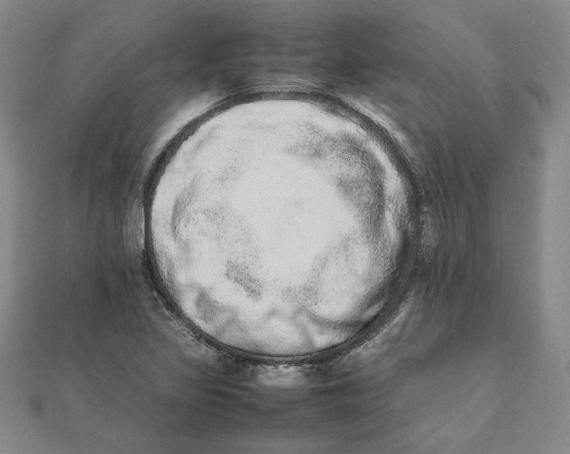 X0000111681317200908071417