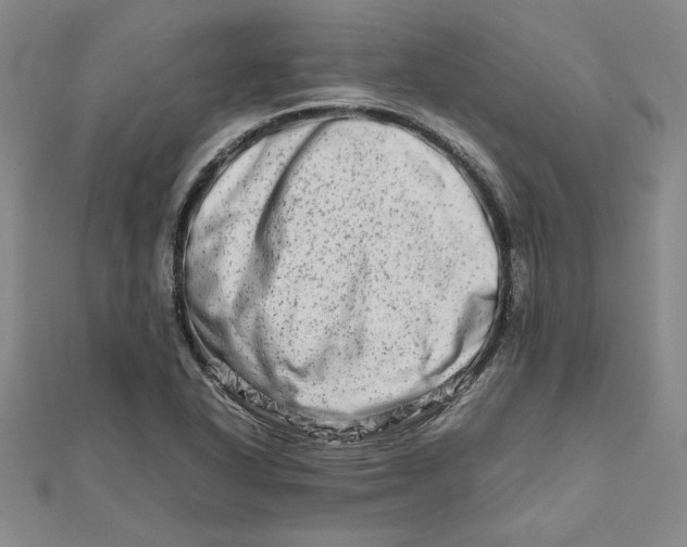 X0000111681318200908071417