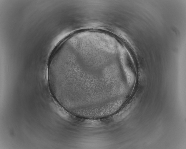 X0000111681320200908071417