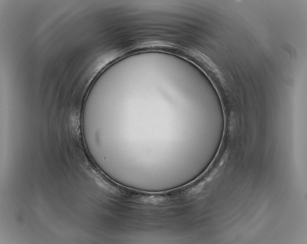 X0000111681321200908071417