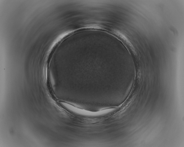 X0000111681323200908071417