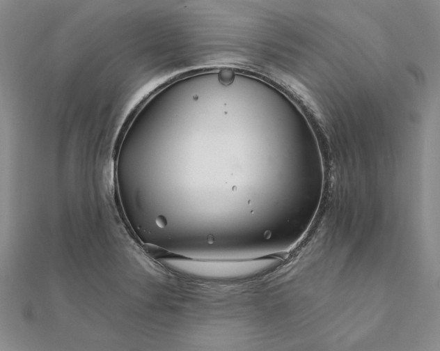 X0000111681324200908071417