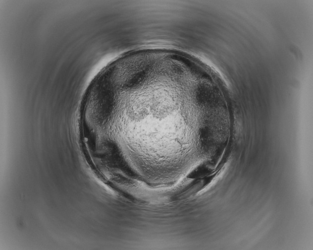 X0000111681325200908071417