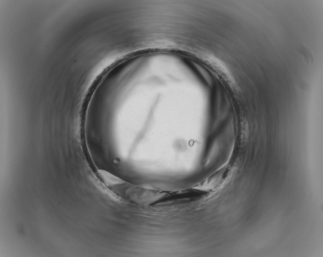 X0000111681326200908071417