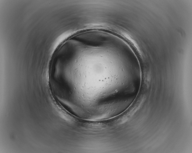 X0000111681328200908071417