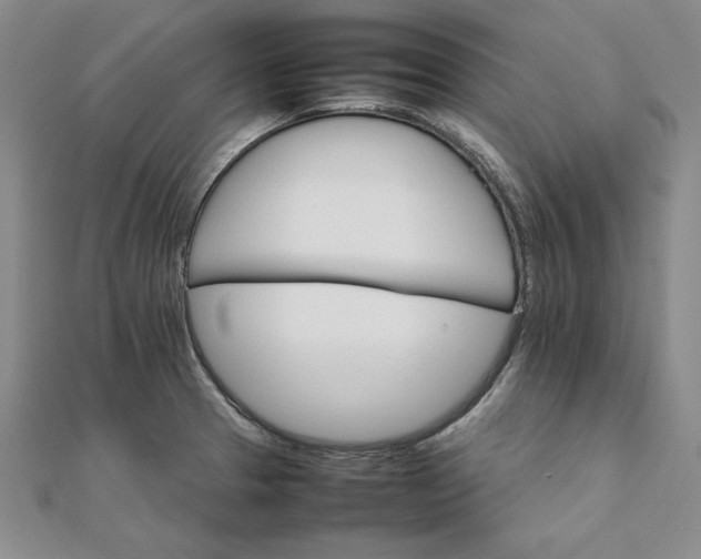 X0000111681329200908071417