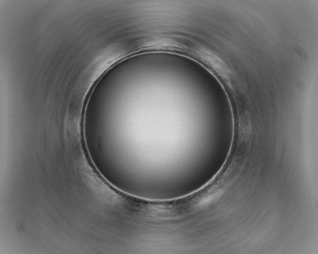 X0000111681330200908071417