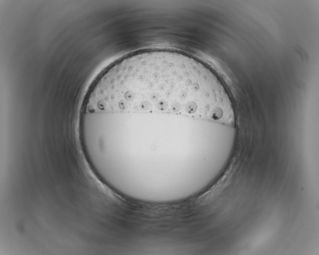 X0000111681331200908071417