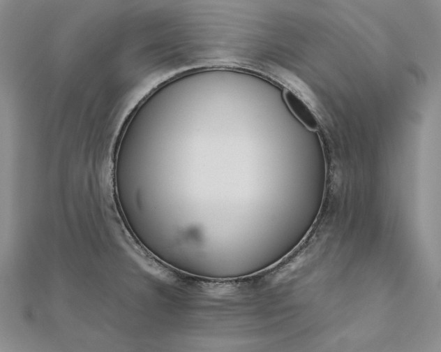 X0000111681332200908071417