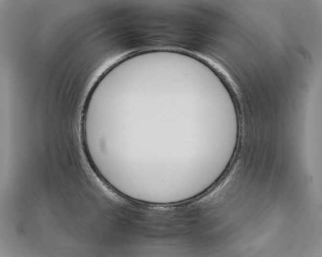 X0000111681333200908071417